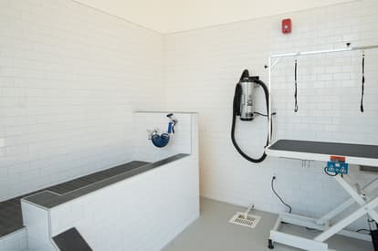 Ascend Dog Spa 06.26.jpg